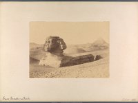 Kat-Nr.625  Kat-Nr.625- Photobestand Hohnhorst, Bezeichnet: ZL III 1826ZL III 1796/1854: 1894/5, 59 Photographien mit Ansichten von Ortschaften, Bauwerken u.s.w. in Ägypten, Vermächtnis der Frau Baronin v. Hohnhorst hieselbst, Beschriftung Hohnhorst: Spinx Armachis zu Gizéh. : Repro: Jutta Streitfellner