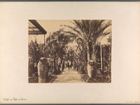 Kat-Nr.633  Kat-Nr.633- Photobestand Hohnhorst, Bezeichnet: ZL III 1814, ZL III 1796/1854: 1894/5, 59 Photographien mit Ansichten von Ortschaften, Bauwerken u.s.w. in Ägypten, Vermächtnisder Frau Baronin v. Hohnhorst hieselbst, Beschriftung Hohnhorst: Hôtel du Nil in Cairo. : Repro: Jutta Streitfellner