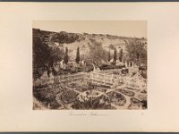 Kat-Nr.638  Kat-Nr.638-Photobestand Vasel, Beschriftung Photo: Bonfils. 185[.] 303 Jardin de Gethséman, Beschriftung Vasel: Jerusalem: Gethsemane : Repro: Jutta Streitfellner
